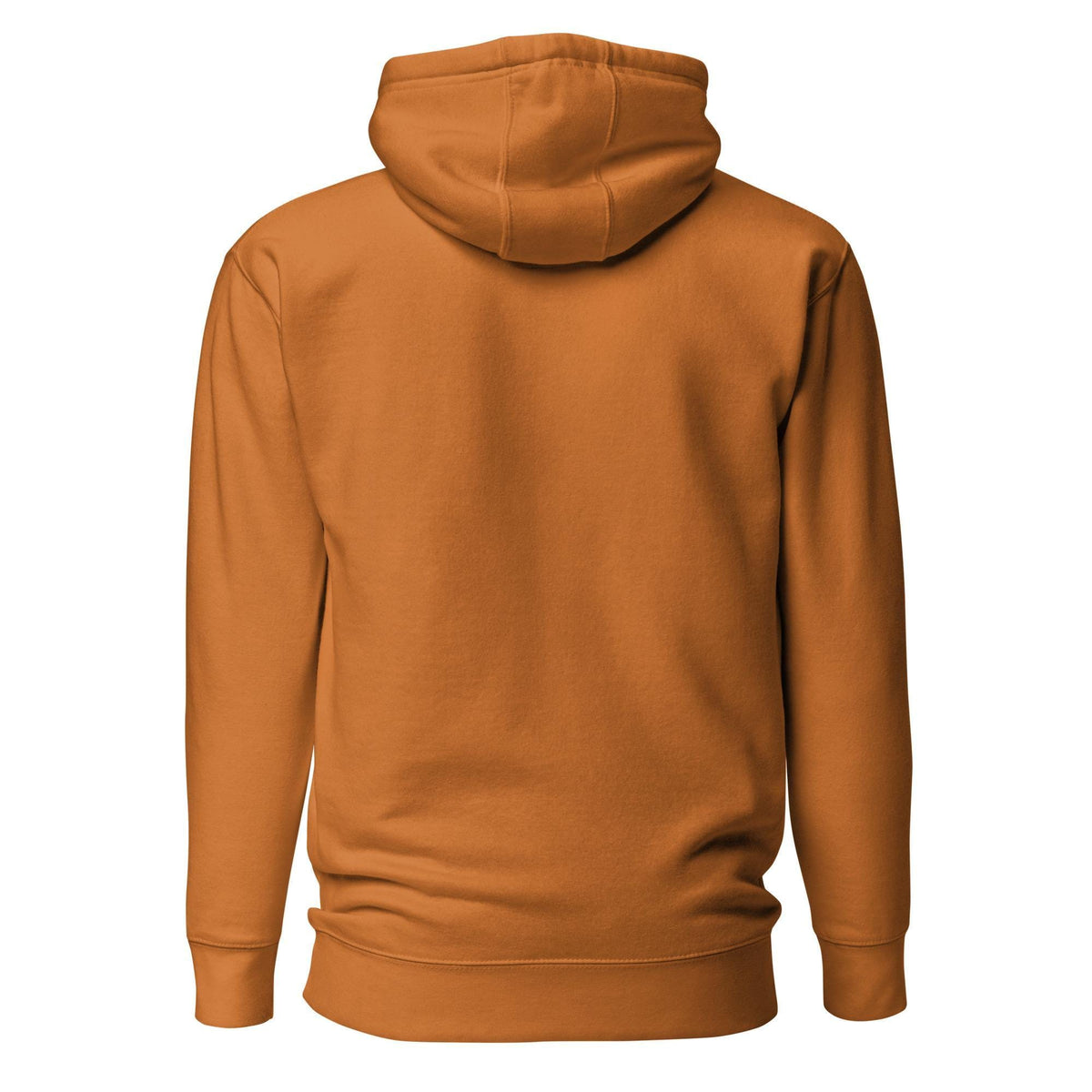 Football Season hoodie
